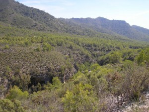 The beautiful Barranco Coladilla gorge     